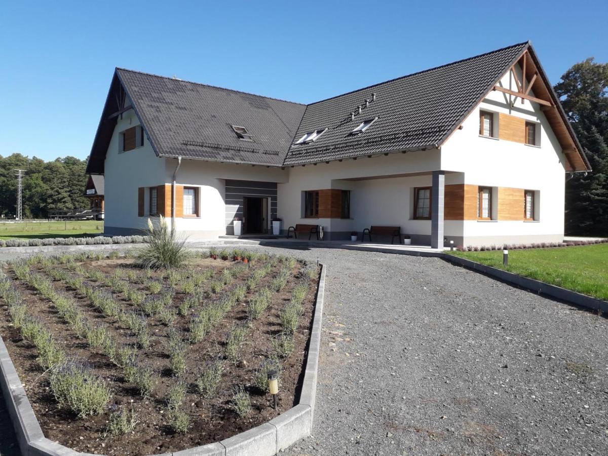 Agroturystyka Aura Kostrzyca Exterior foto
