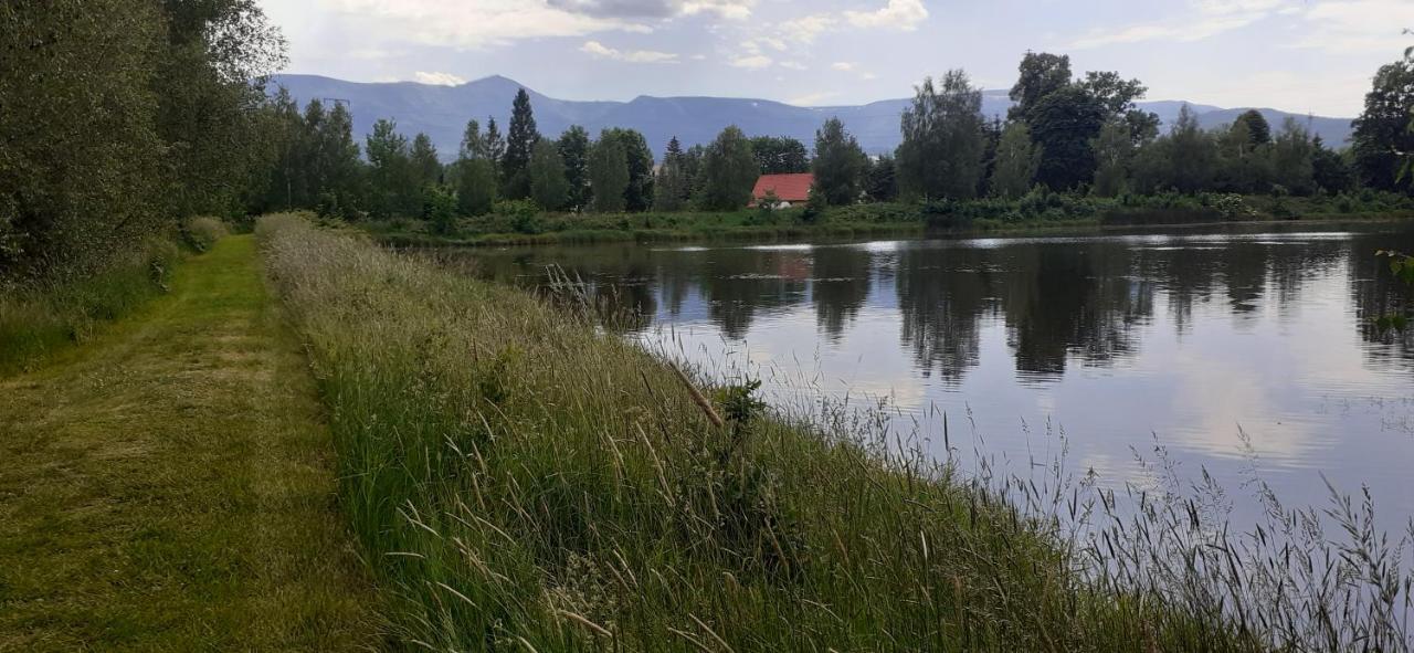 Agroturystyka Aura Kostrzyca Exterior foto