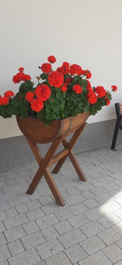 Agroturystyka Aura Kostrzyca Exterior foto