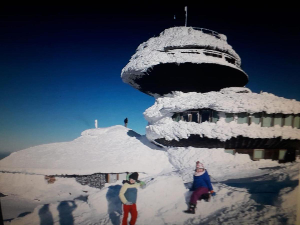 Agroturystyka Aura Kostrzyca Exterior foto