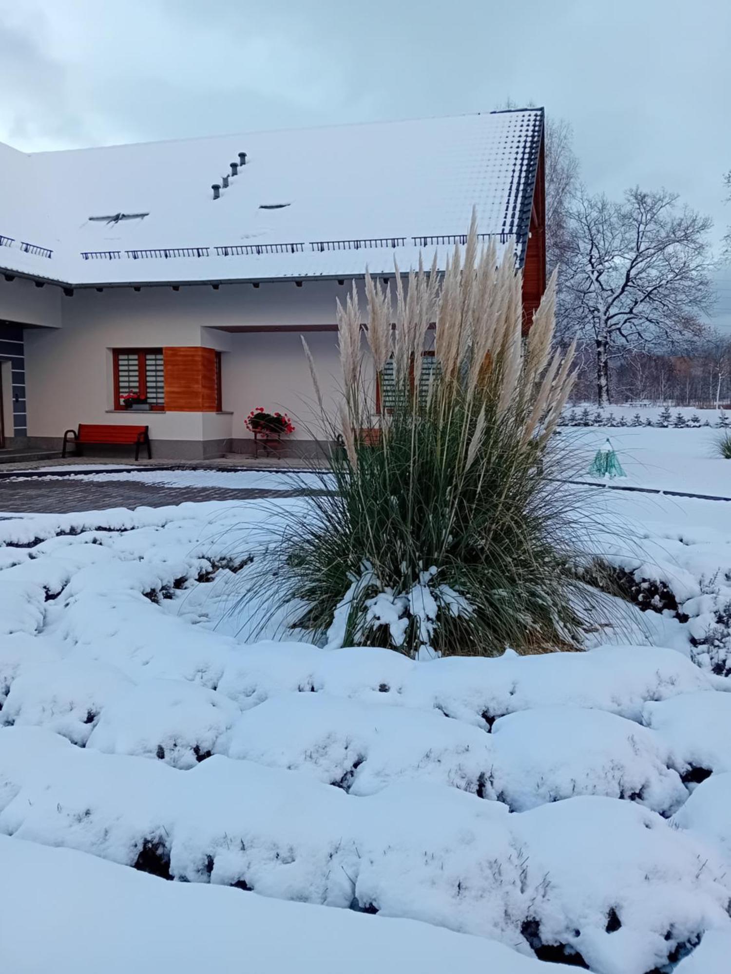 Agroturystyka Aura Kostrzyca Exterior foto